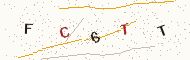 Characters to type, shown as a picture