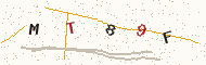 Characters to type, shown as a picture